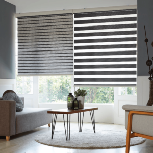 Zebra Blinds